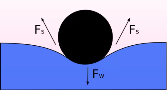 File:TM-Y1S2-lec04-04.png