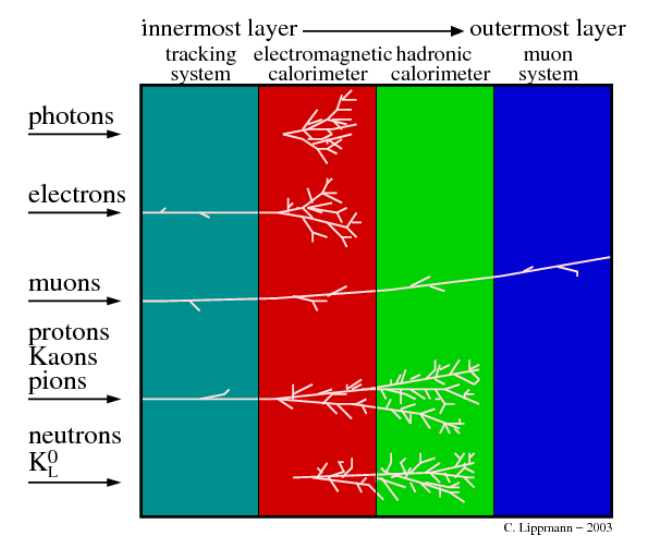 File:ItPPC-Y1S2-lec02-02.png