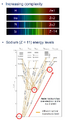 Thumbnail for version as of 14:35, 11 September 2026