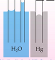 Thumbnail for version as of 14:48, 11 September 2026